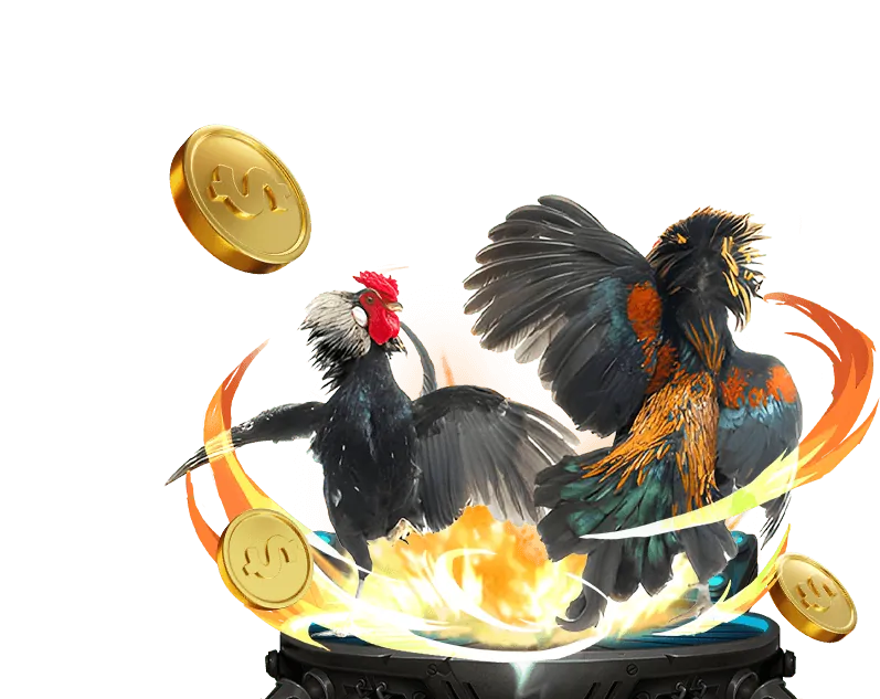 Hình ảnh tổng quan các môn thể thao đa dạng tại S689